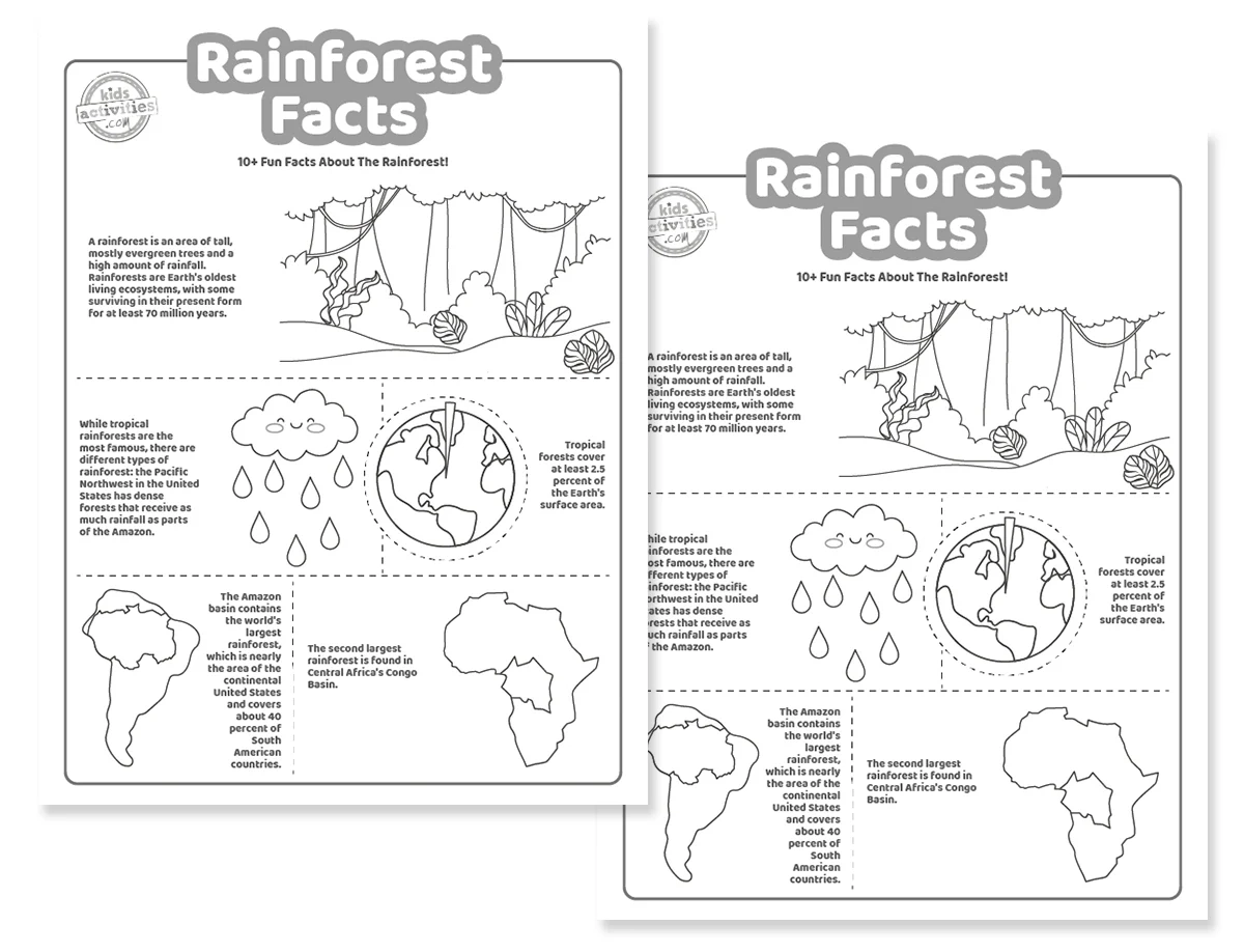 Free Printable Rainforest Worksheets Free Printable Rainforest Worksheets