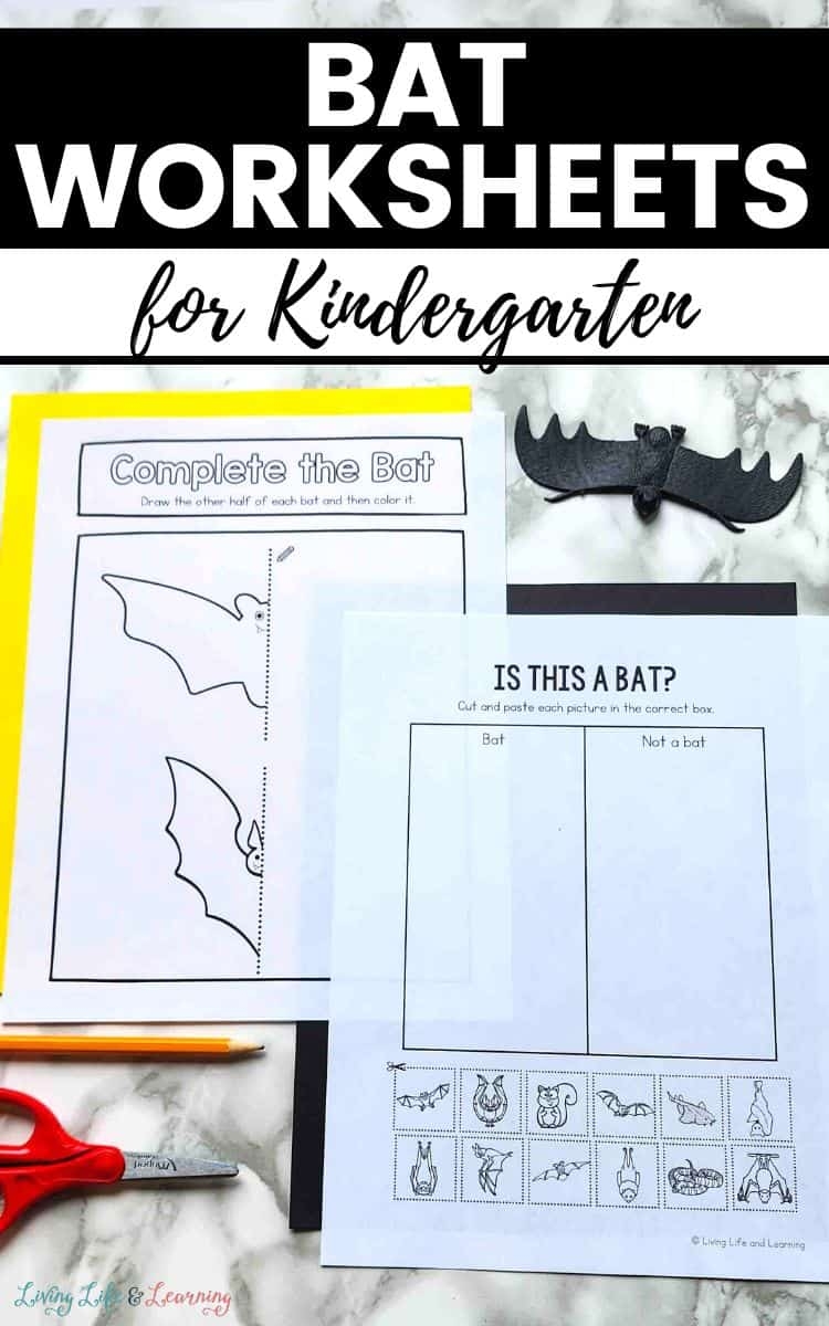 Free Printable Bat Worksheets Free Printable Bat Worksheets