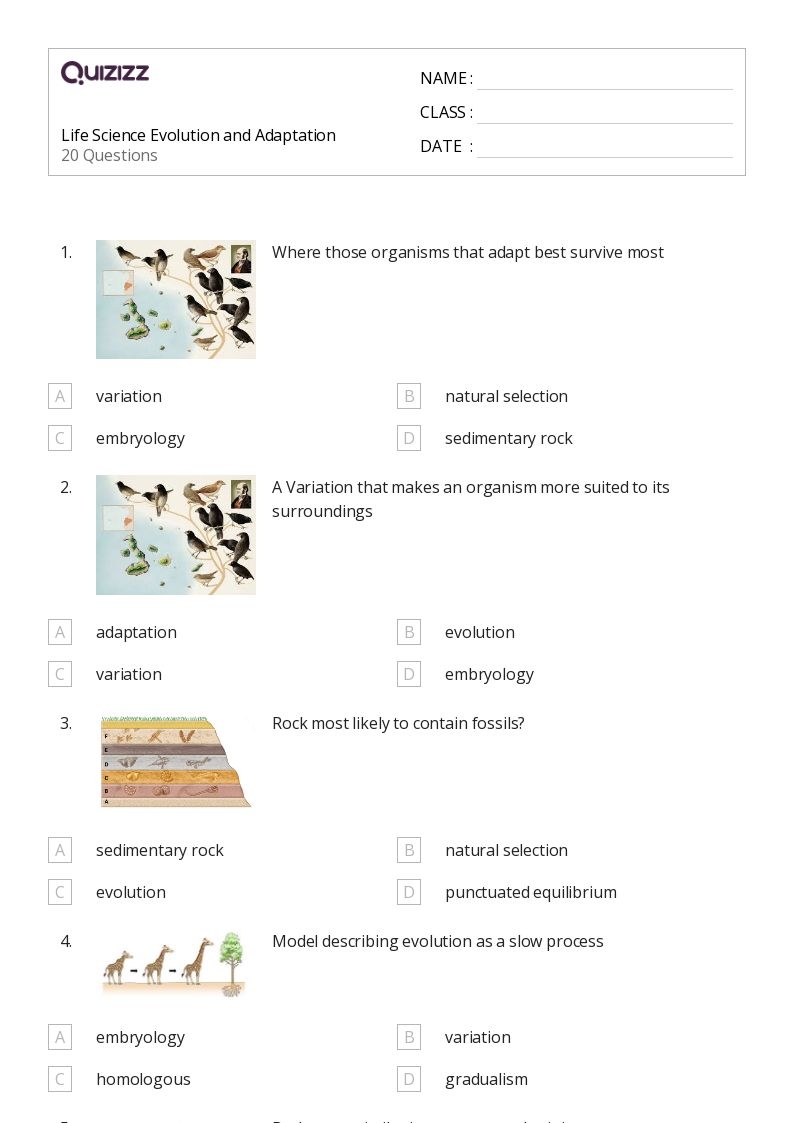 50 Science Worksheets For 7th Year On Quizizz Free amp Printable 50 Science Worksheets For 7th Year On Quizizz Free amp Printable