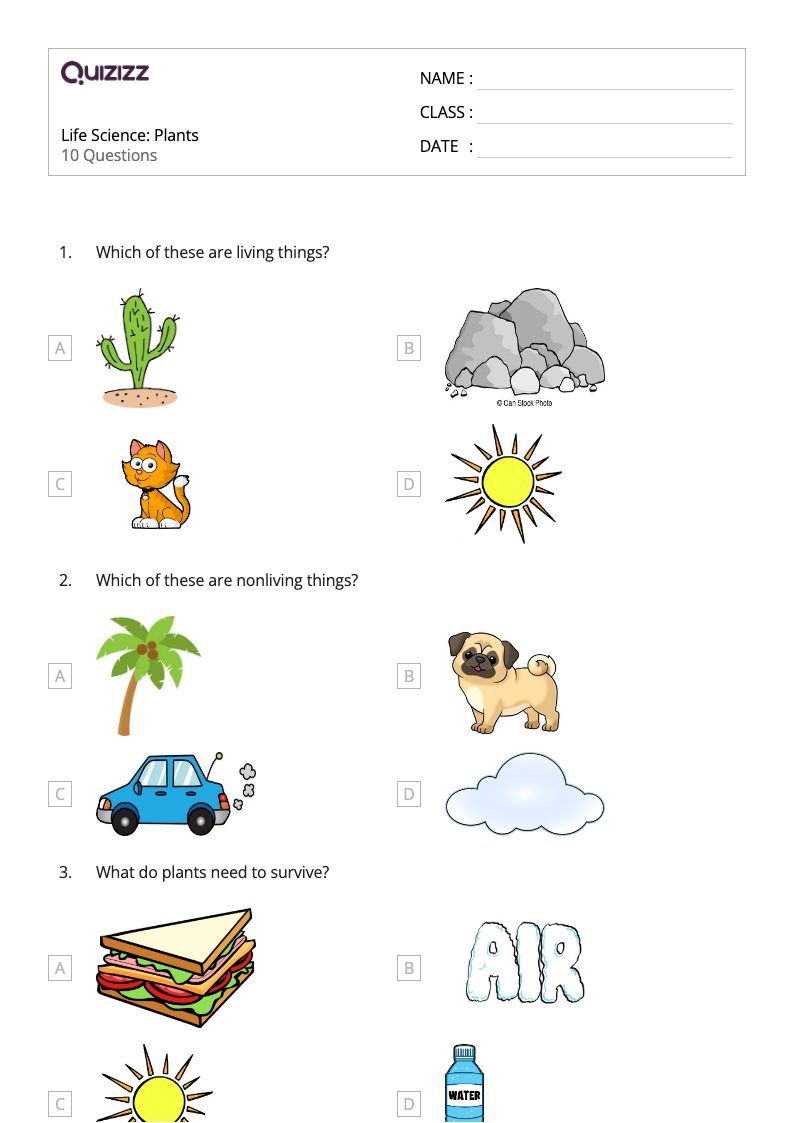 50 Science Worksheets On Quizizz Free amp Printable 50 Science Worksheets On Quizizz Free amp Printable