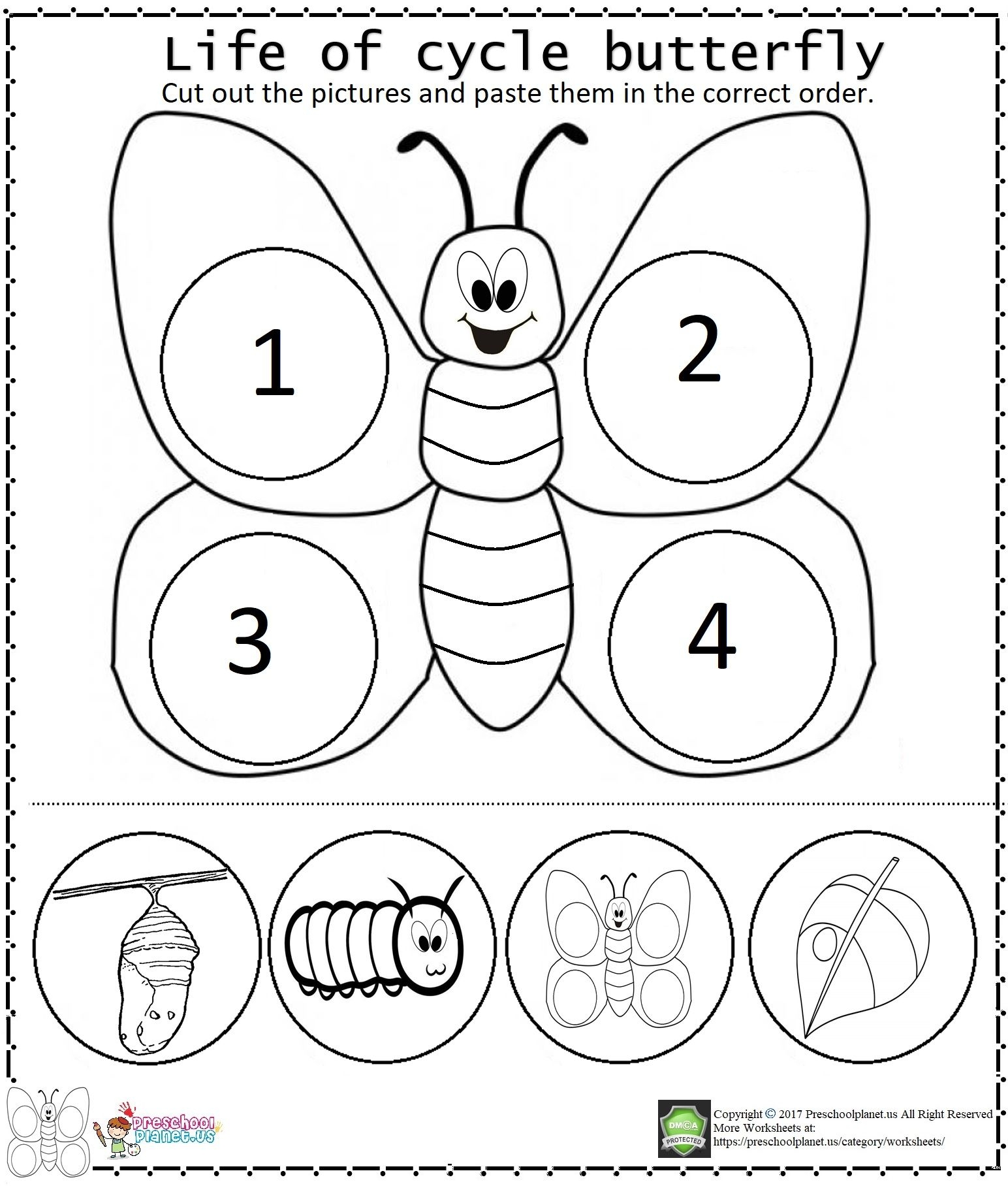 8 Butterfly Life Cycle Ideas In 2025 Butterfly Life Cycle 8 Butterfly Life Cycle Ideas In 2025 Butterfly Life Cycle