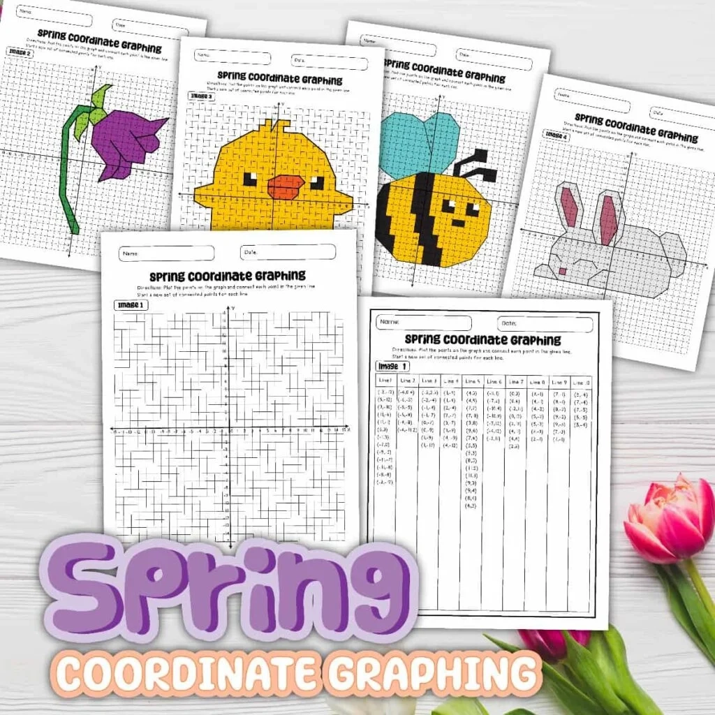 Easy Free Printable Coordinate Graphing Pictures Worksheets Easy Free Printable Coordinate Graphing Pictures Worksheets