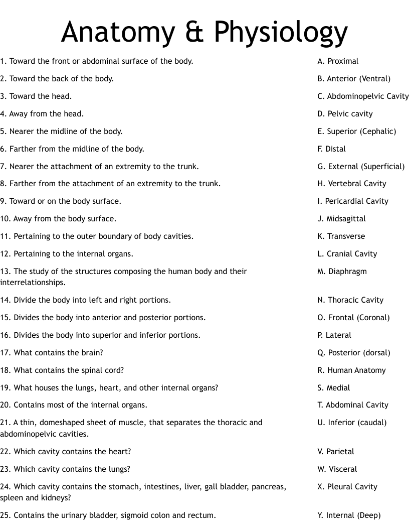 Free Printable Anatomy And Physiology Worksheets Free Printable Anatomy And Physiology Worksheets