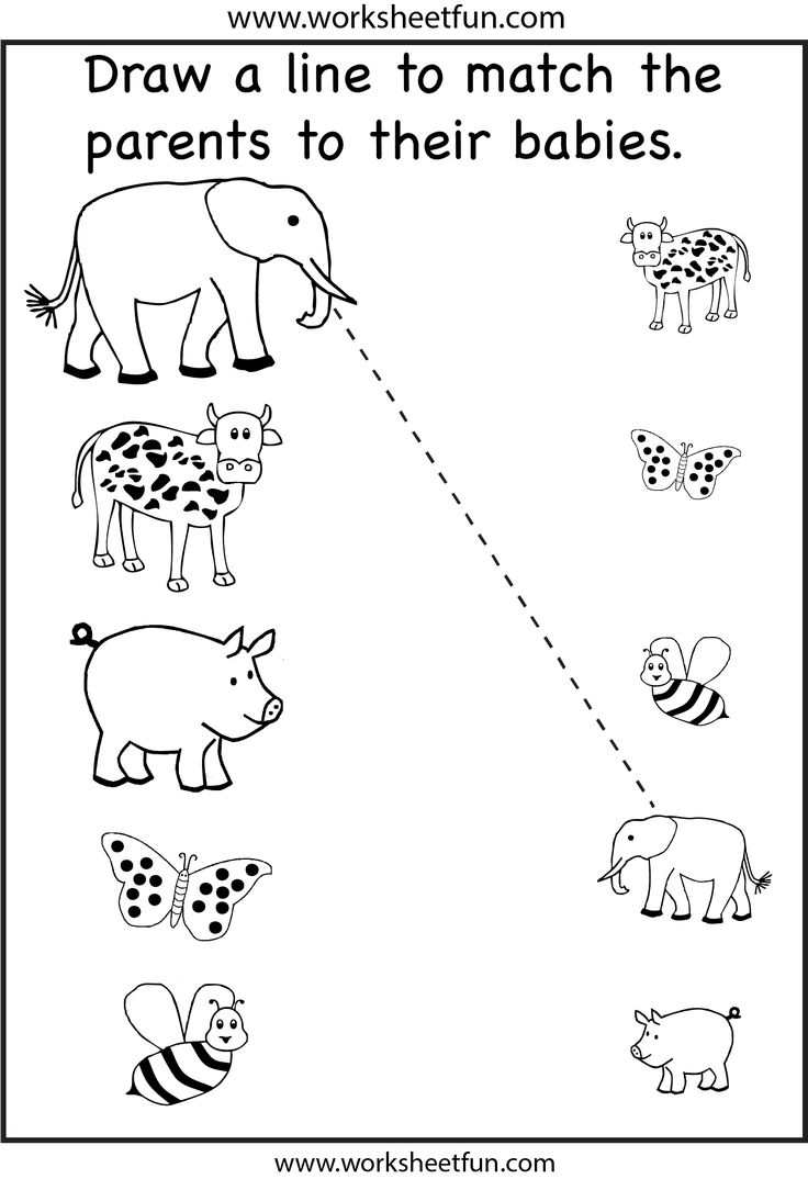 Animal Parents And Babies Match The Parents 2 Worksheets Animal Parents And Babies Match The Parents 2 Worksheets