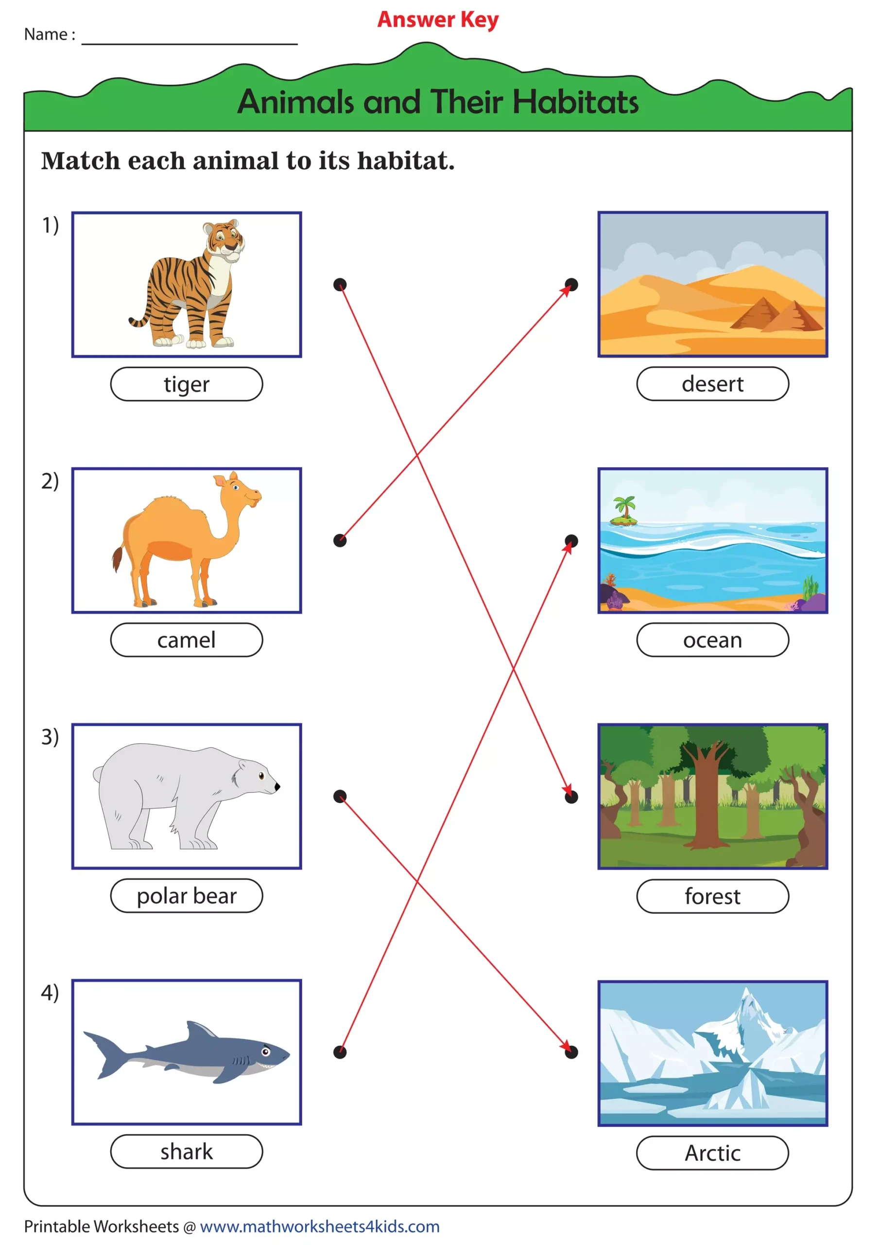 Animals And Their Habitats pdf Animals And Their Habitats pdf