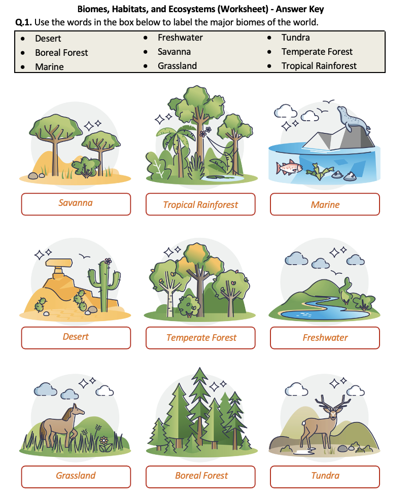 Biomes Habitats And Ecosystems Worksheet Printable And Biomes Habitats And Ecosystems Worksheet Printable And