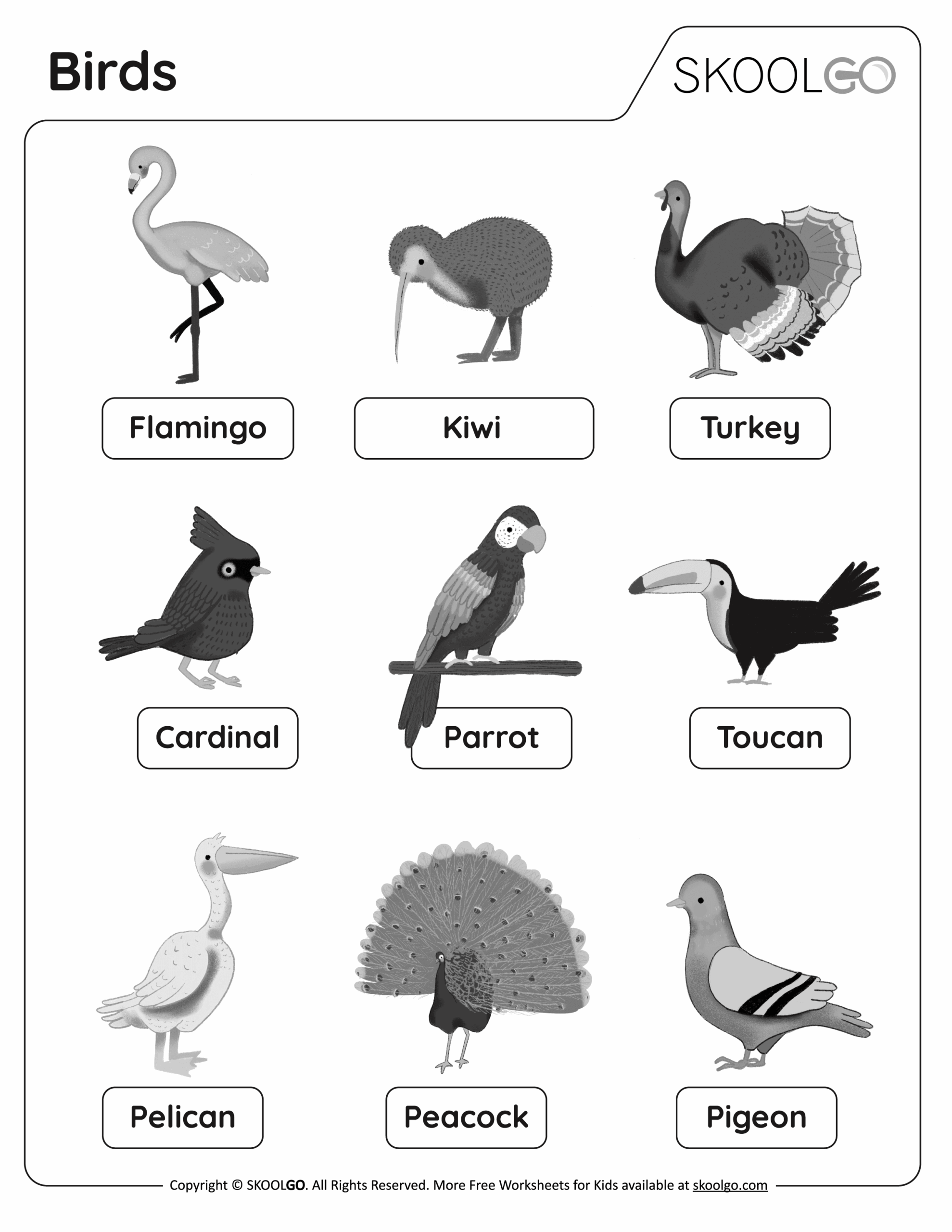 Birds Free Worksheet SKOOLGO Birds Free Worksheet SKOOLGO