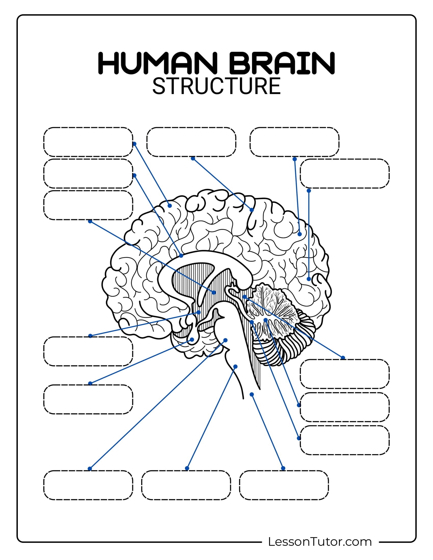 Brain Labeling Worksheets Lesson Tutor Brain Labeling Worksheets Lesson Tutor