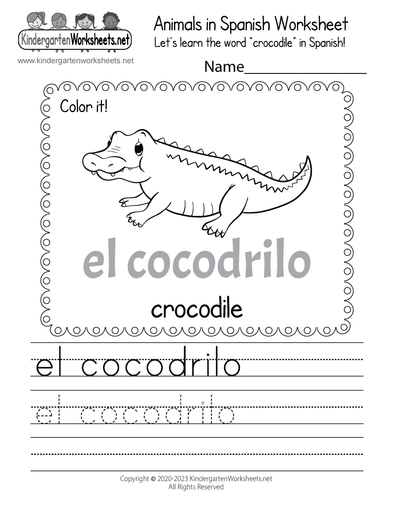 Crocodile In Spanish Worksheet Free Printable Digital amp PDF Crocodile In Spanish Worksheet Free Printable Digital amp PDF