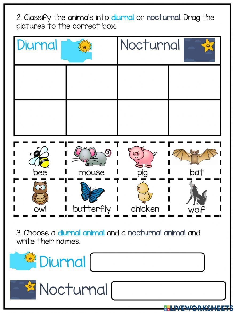 Day And Night Diurnal And Nocturnal Animals Worksheet Live Day And Night Diurnal And Nocturnal Animals Worksheet Live
