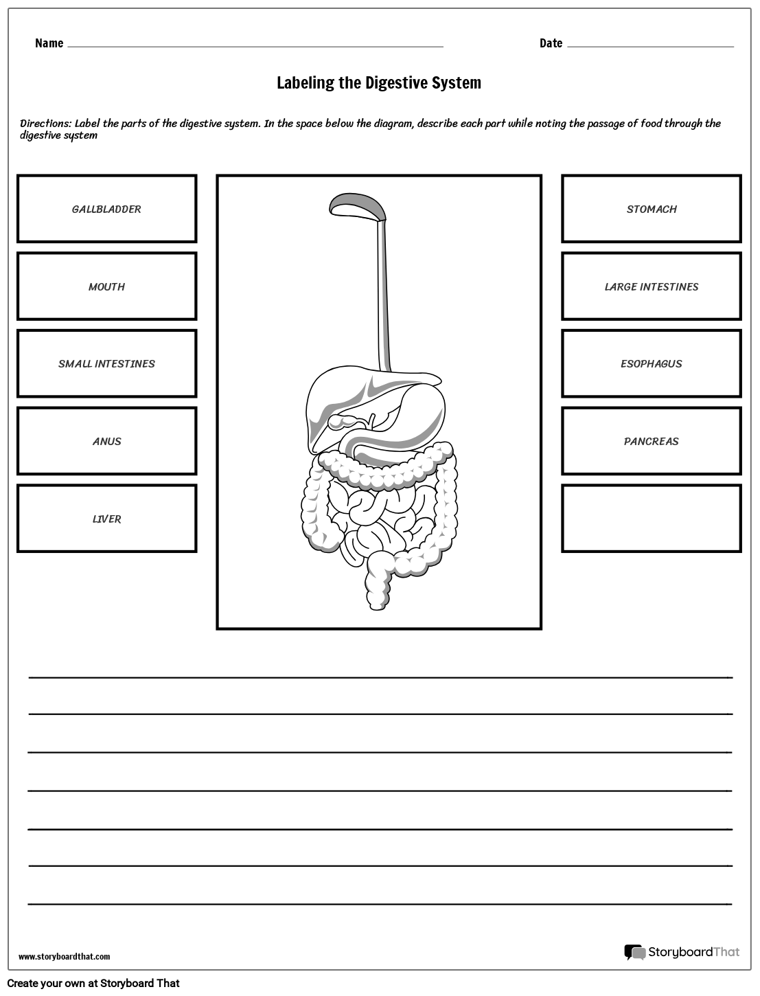 Printable Digestive System Worksheet Printable Digestive System Worksheet