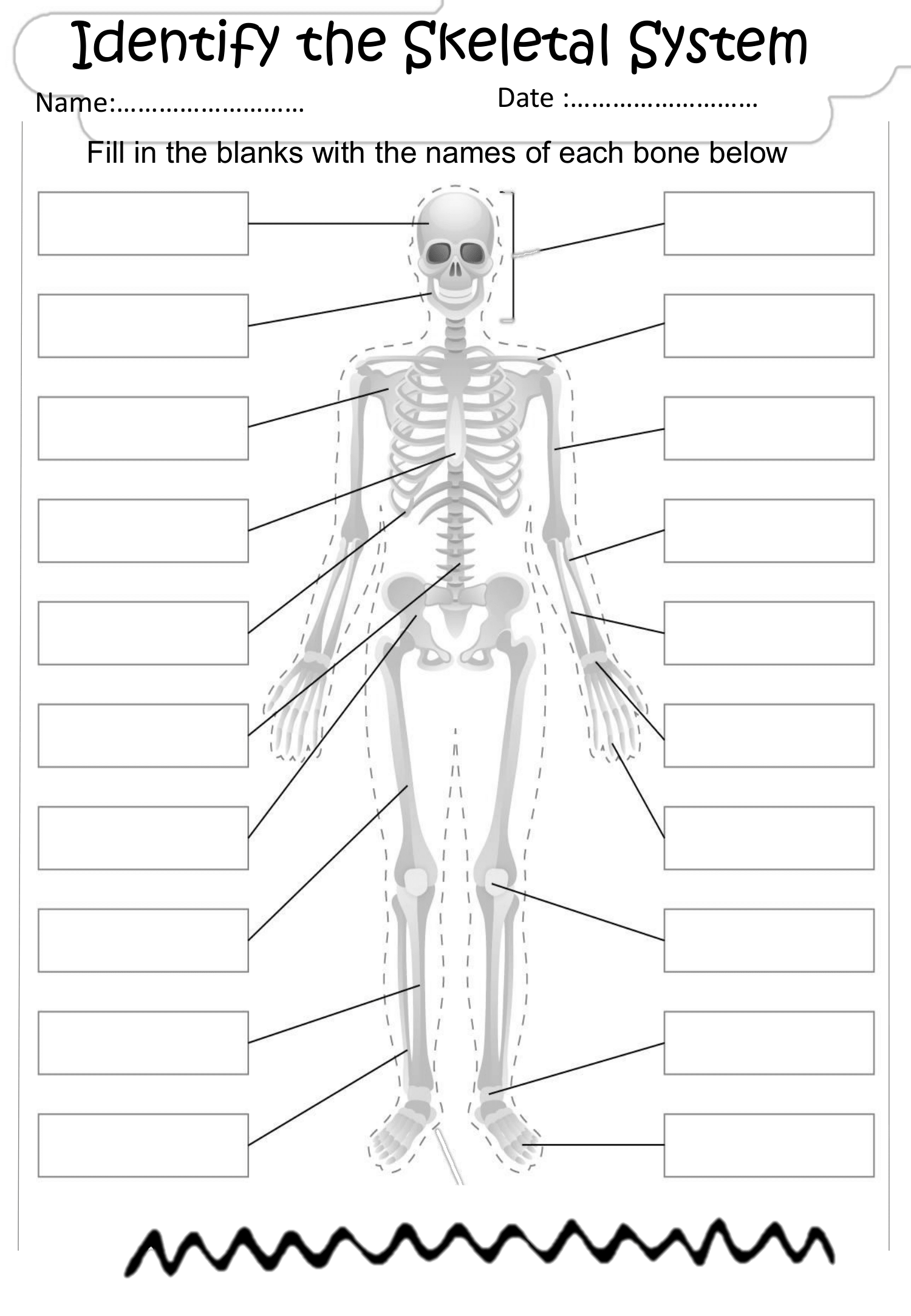 Printable Skeleton Worksheet Printable Skeleton Worksheet