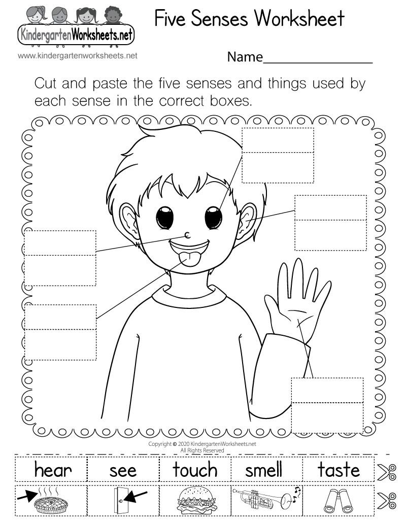 Five Senses Worksheet Free Printable Digital amp PDF Five Senses Worksheet Free Printable Digital amp PDF
