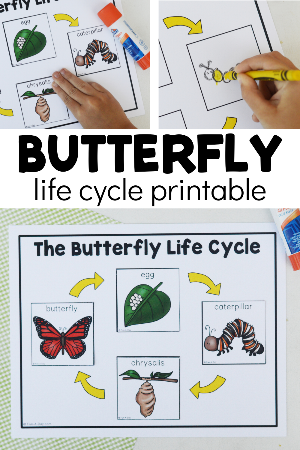 Free Printable Life Cycle Of A Butterfly Worksheet Free Printable Life Cycle Of A Butterfly Worksheet