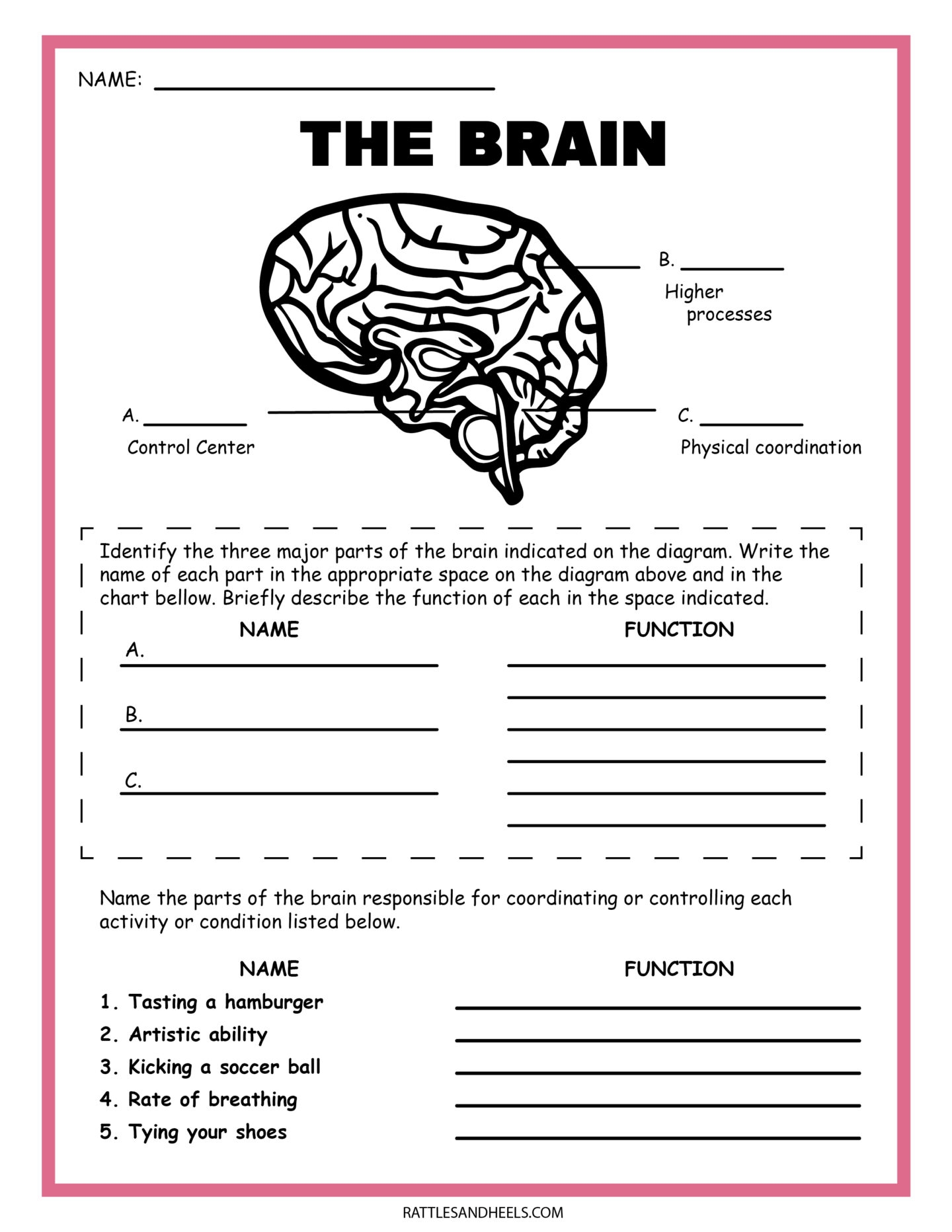 Science Worksheets Free Printable Science Worksheets Free Printable