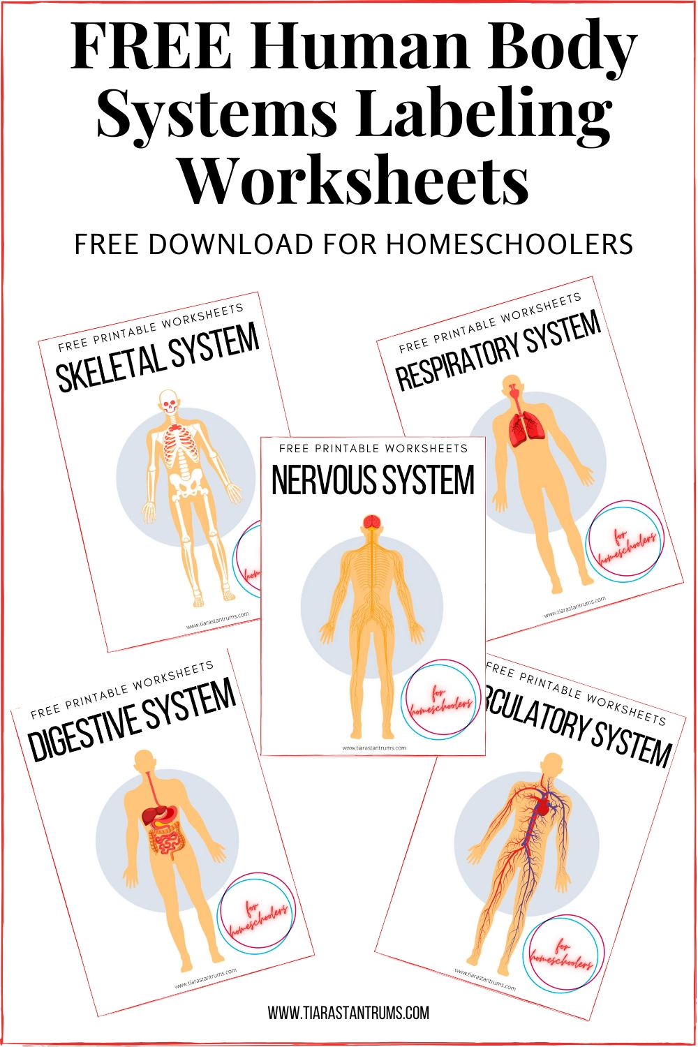 FREE Human Body Systems Labeling Worksheets Tiaras amp Tantrums FREE Human Body Systems Labeling Worksheets Tiaras amp Tantrums