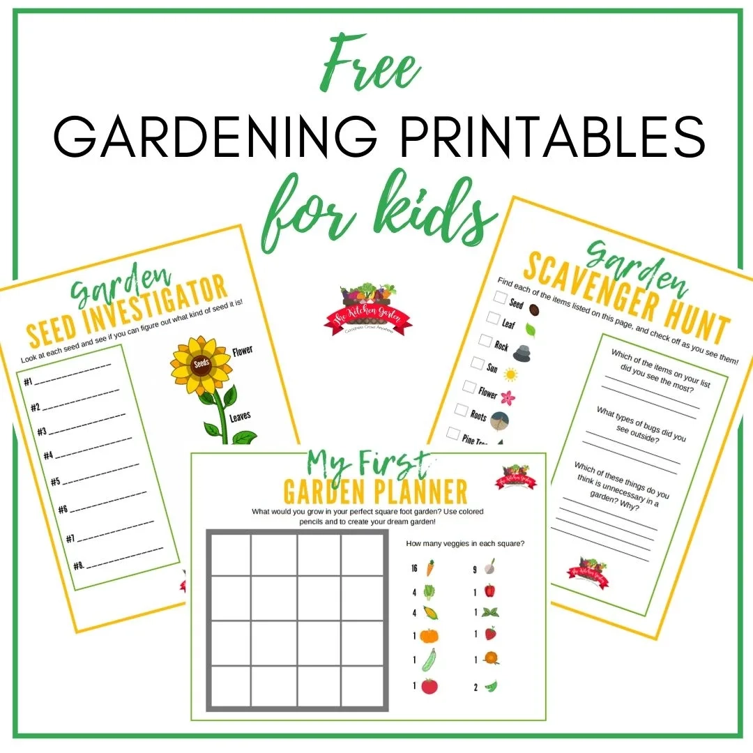 Preschool Gardening Worksheets Printable Preschool Gardening Worksheets Printable