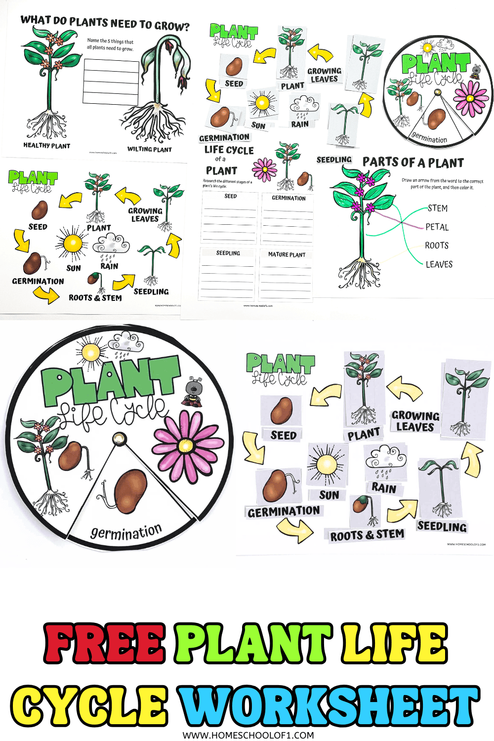 Free Plant Life Cycle Worksheet For Kids Free Plant Life Cycle Worksheet For Kids