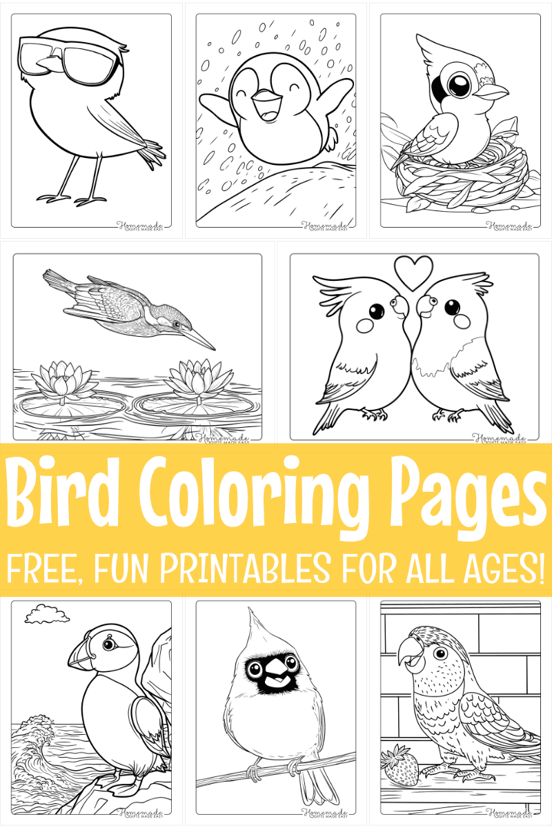 Free Printable Bird Worksheets For Preschoolers Free Printable Bird Worksheets For Preschoolers