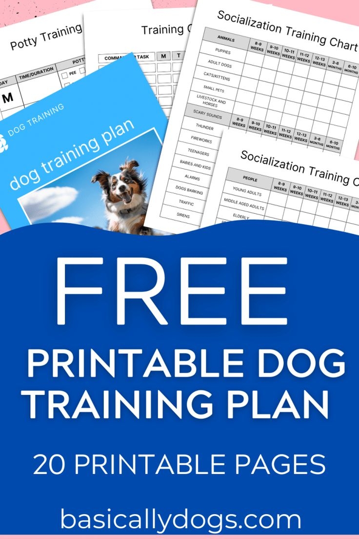Free Printable Dog Training Plan Template To Download Basically Dogs Free Printable Dog Training Plan Template To Download Basically Dogs