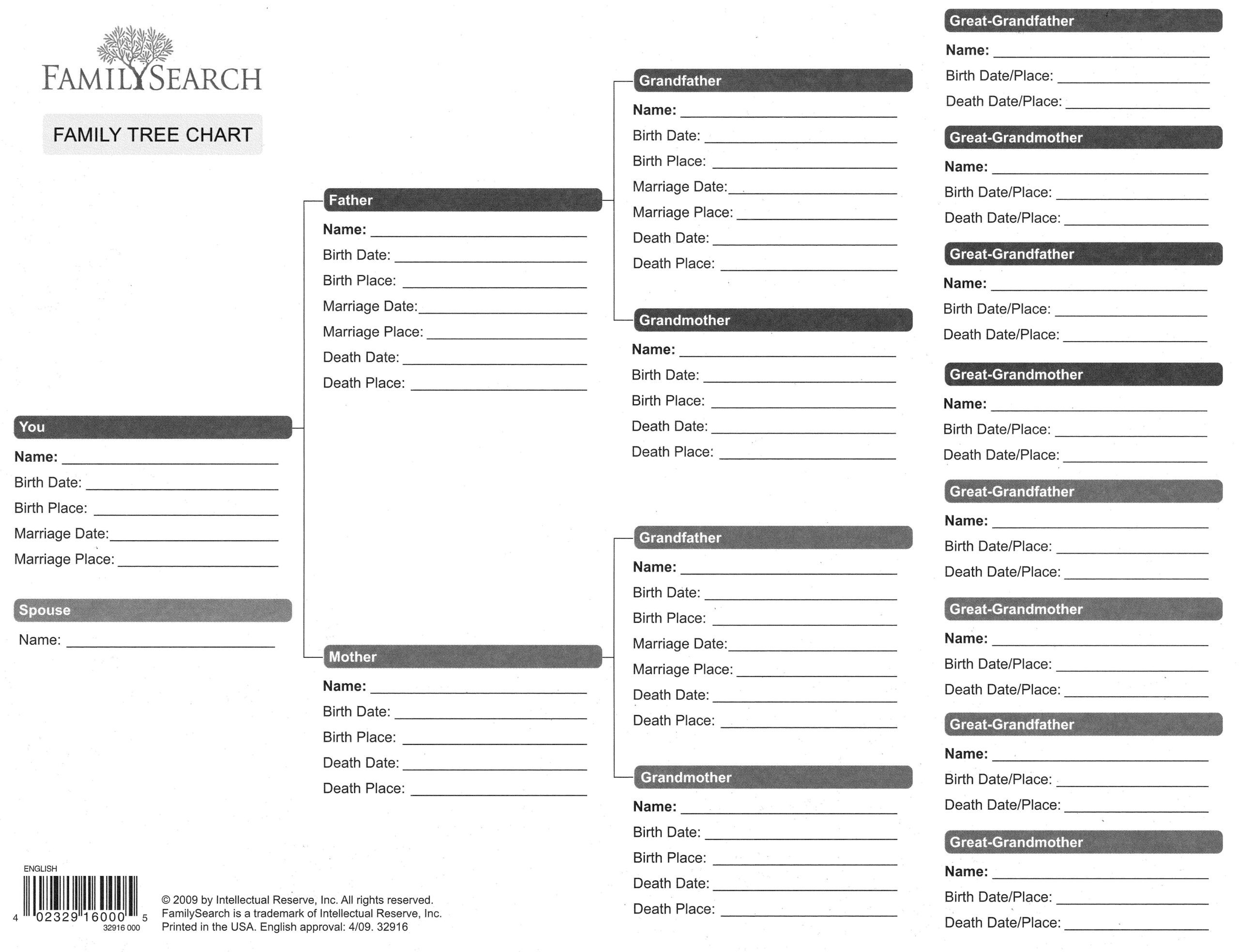 free printable genealogy forms individual worksheet worksheets free printable genealogy forms individual worksheet worksheets