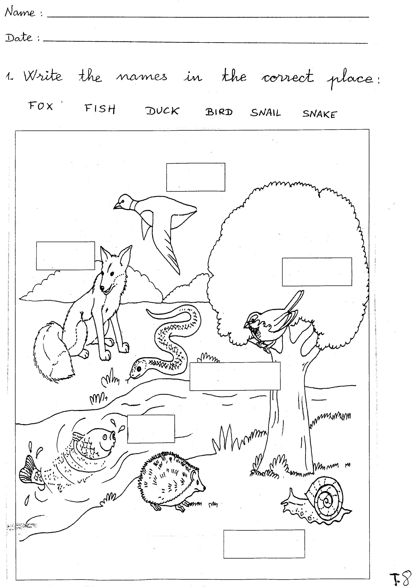 Free Printable Kindergarten Science Worksheets Worksheets Library Free Printable Kindergarten Science Worksheets Worksheets Library