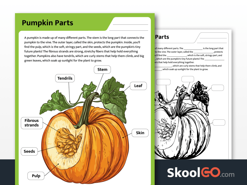 Free Printable Pumpkin Parts Worksheet SKOOLGO Free Printable Pumpkin Parts Worksheet SKOOLGO