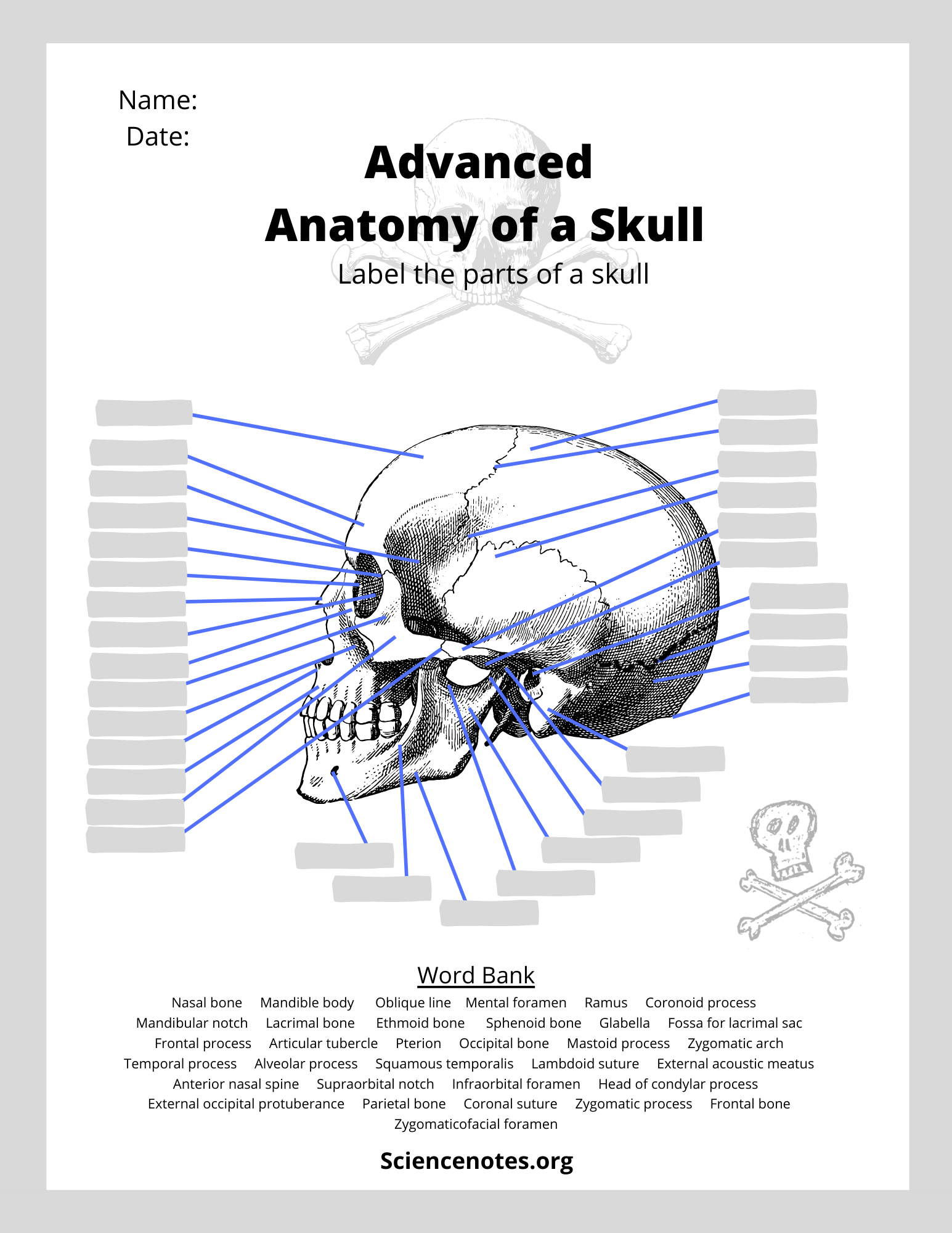 Anatomy And Physiology Printable Worksheets Anatomy And Physiology Printable Worksheets