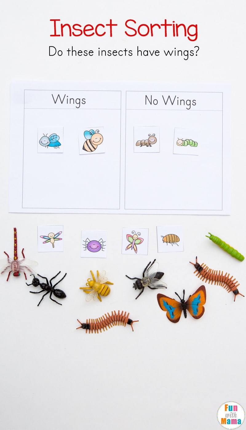 Printable Insect Worksheets For Preschool Printable Insect Worksheets For Preschool
