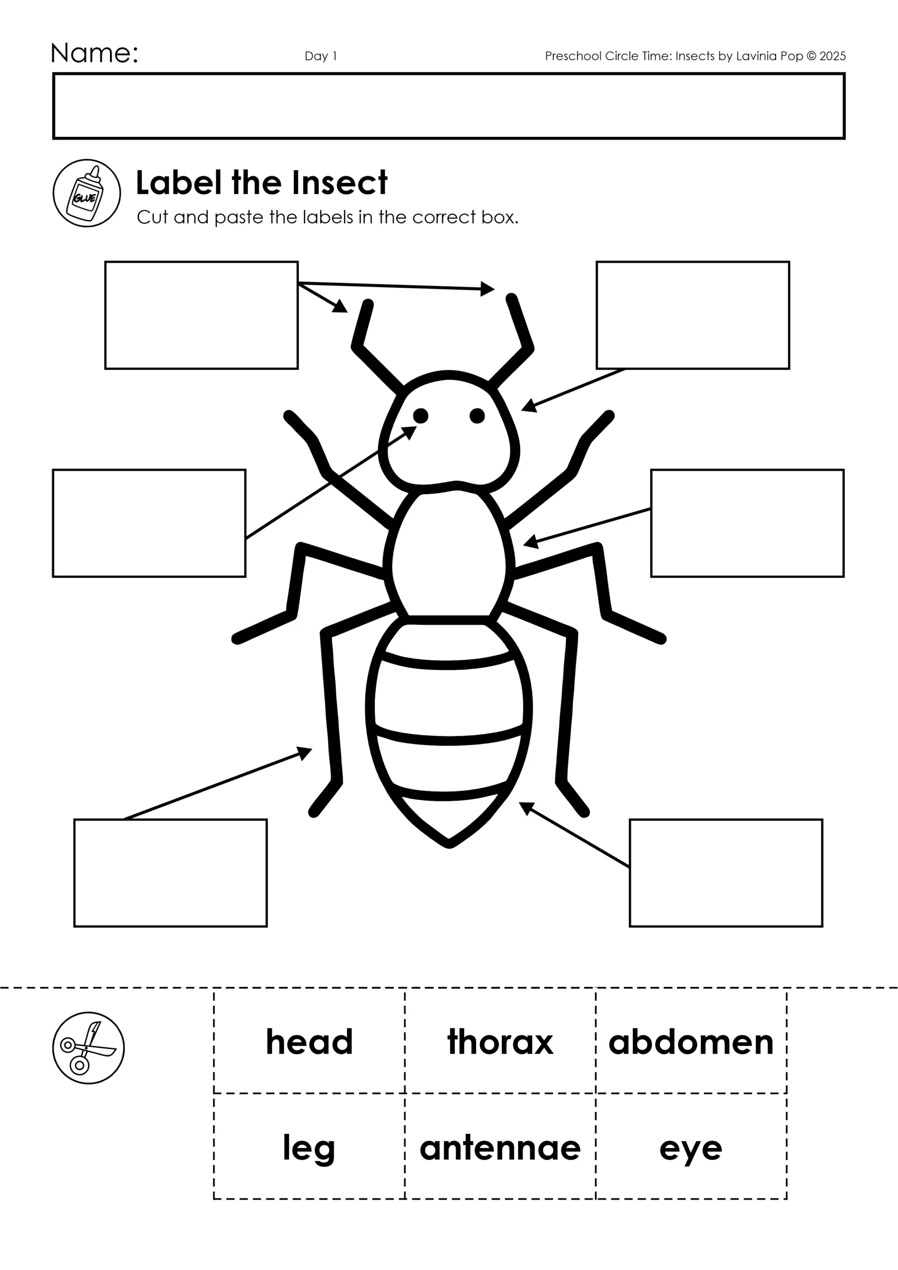 Insects Preschool Circle Time Plan Insects Preschool Circle Time Plan