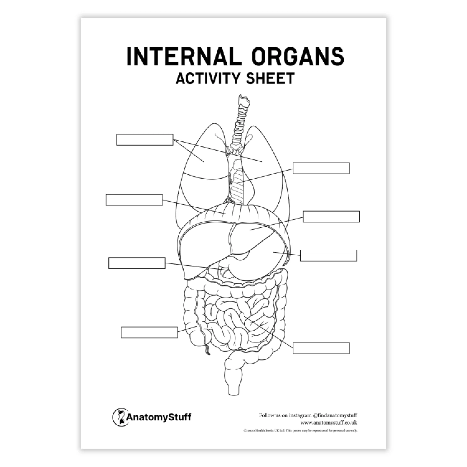 Internal Organs Activity Sheet PDF Internal Organs Activity Sheet PDF