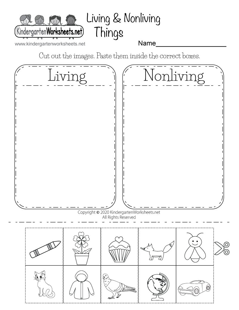 Free Printable Science Worksheets Free Printable Science Worksheets