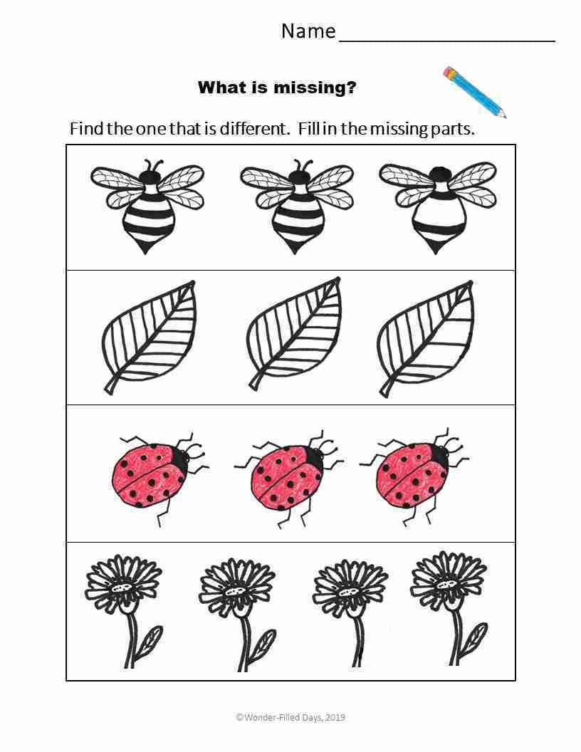 Preschool Worksheet Printable Preschool Worksheet Printable