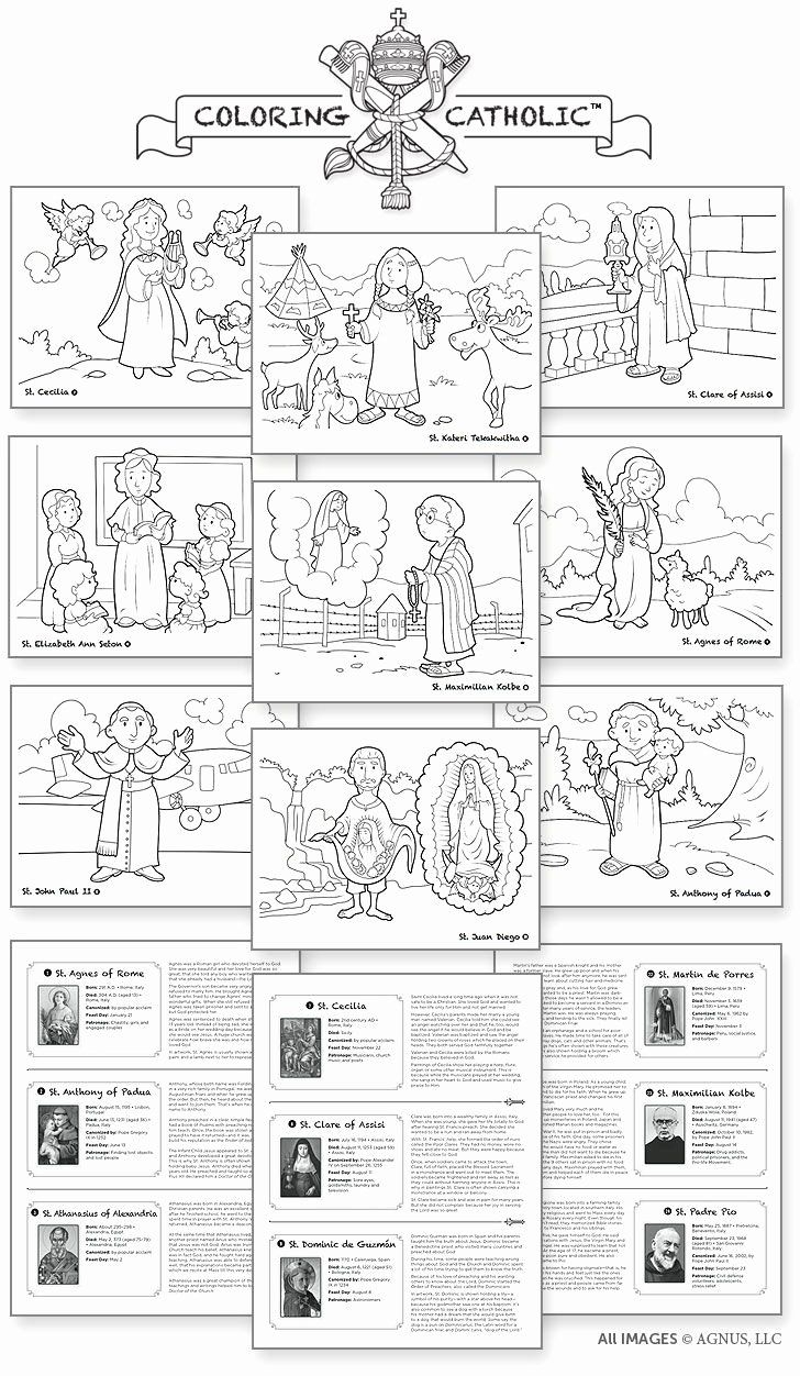 Order Of The Mass Worksheet Lovely Catholic Mass Parts In Order Order Of The Mass Worksheet Lovely Catholic Mass Parts In Order