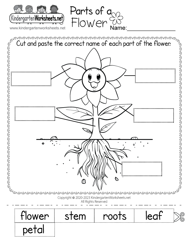 Parts Of A Flower Worksheet Free Printable Digital amp PDF Parts Of A Flower Worksheet Free Printable Digital amp PDF