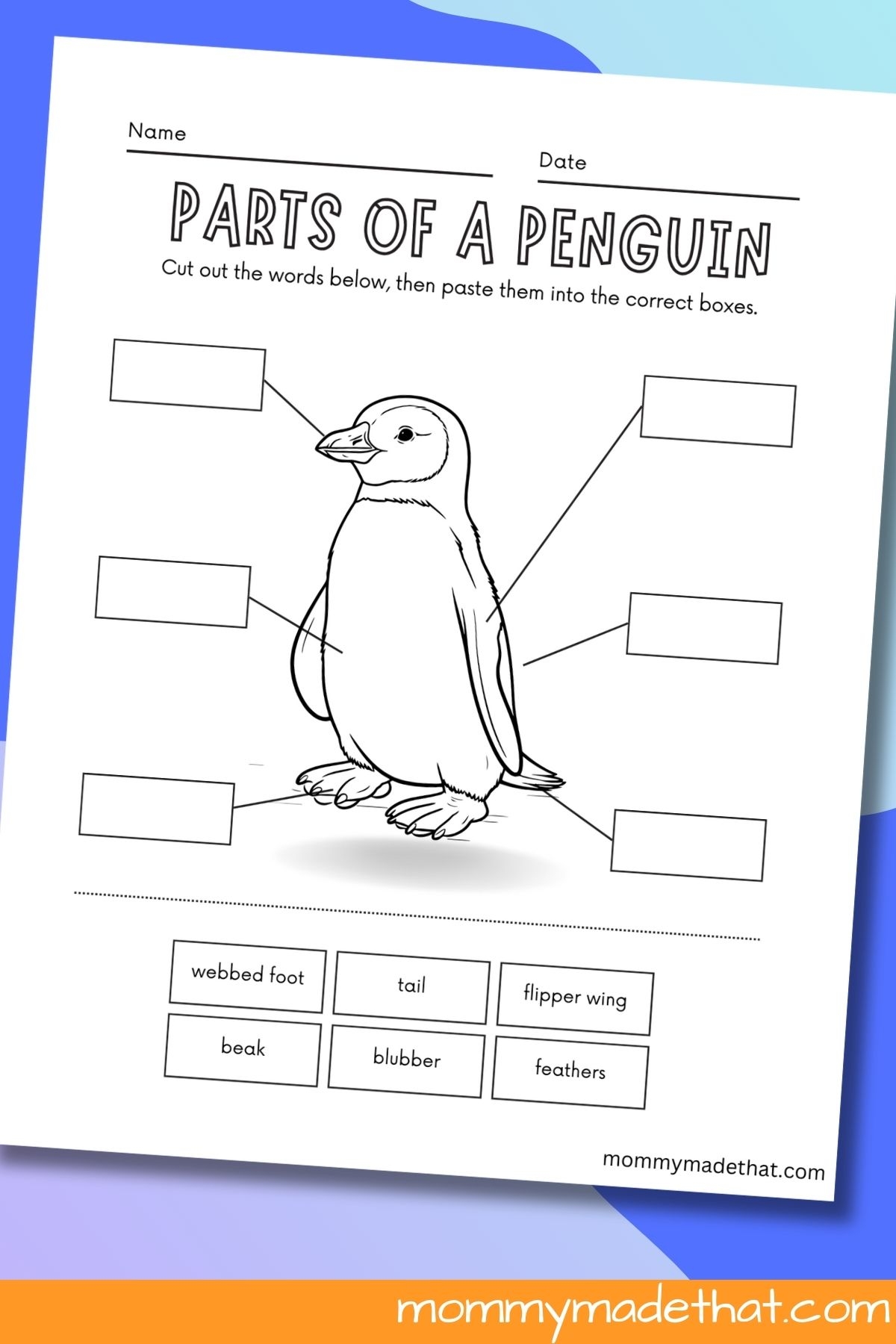Parts Of A Penguin Worksheets Parts Of A Penguin Worksheets