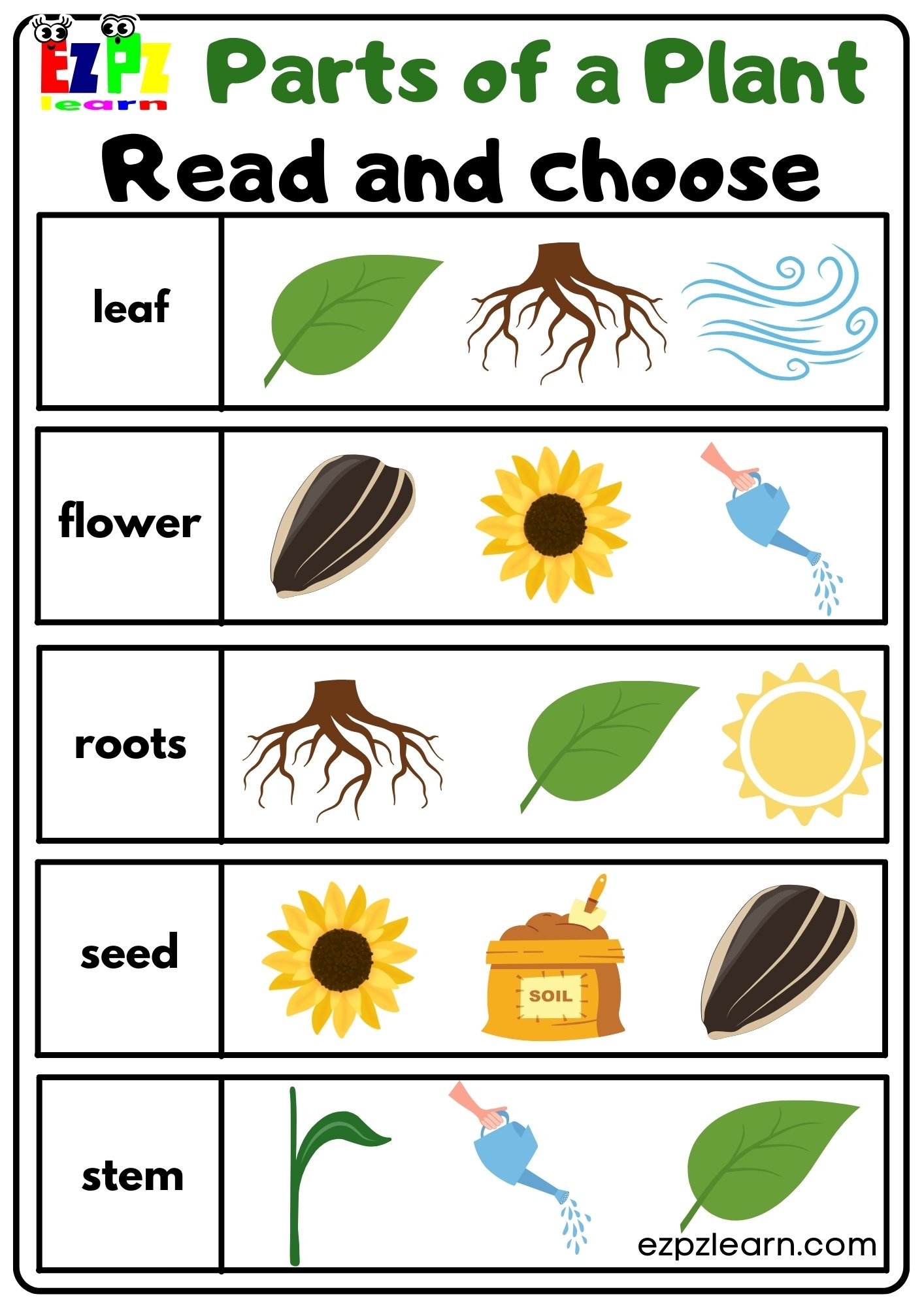 Parts Of A Plant Read And Choose Worksheet For Kindergarten Or ESL Parts Of A Plant Read And Choose Worksheet For Kindergarten Or ESL