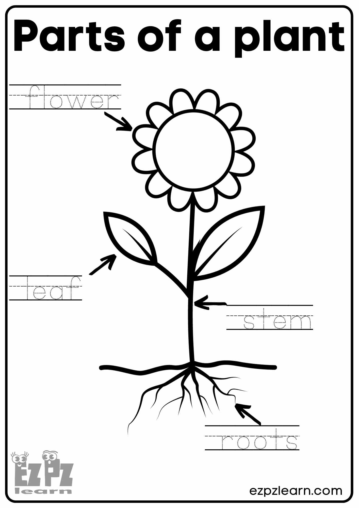 Parts Of A Plant Vocabulary Worksheet Write The Words And Color Parts Of A Plant Vocabulary Worksheet Write The Words And Color