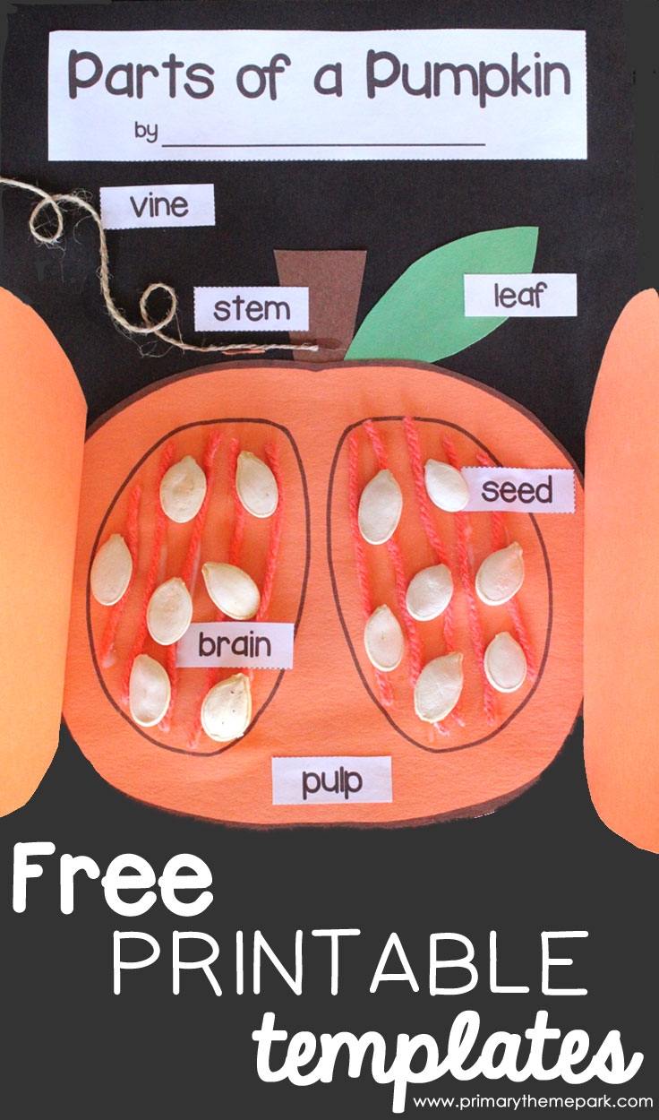 Parts Of A Pumpkin Free Printable Primary Theme Park Parts Of A Pumpkin Free Printable Primary Theme Park