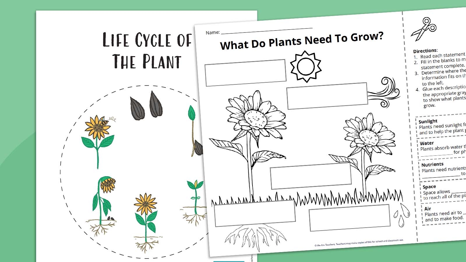 Printable Plant Life Cycle Worksheet Pdf Printable Plant Life Cycle Worksheet Pdf