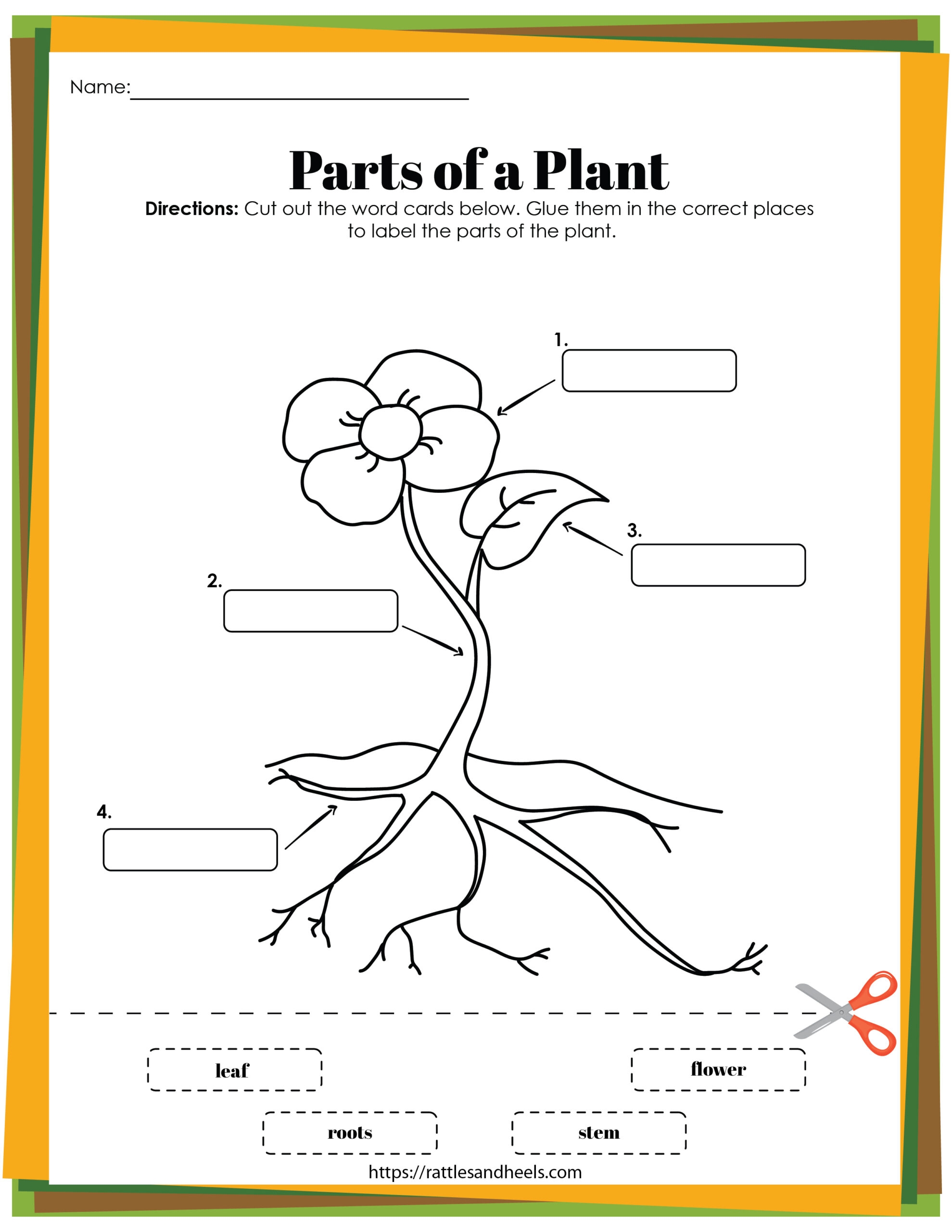 Plant Life Cycle Worksheets Free Printables For Kids Plant Life Cycle Worksheets Free Printables For Kids