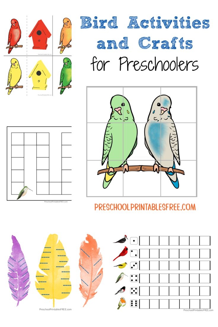 Preschool Bird Activities Preschool Bird Activities