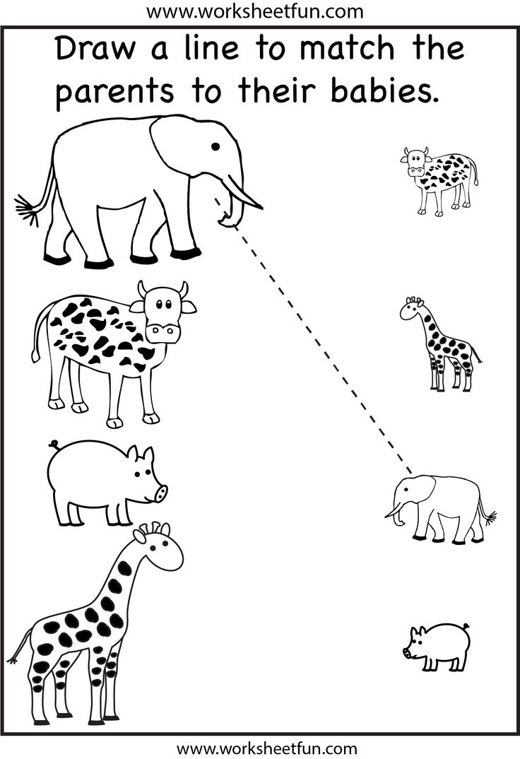 Preschool Activity Worksheets Printable Preschool Activity Worksheets Printable