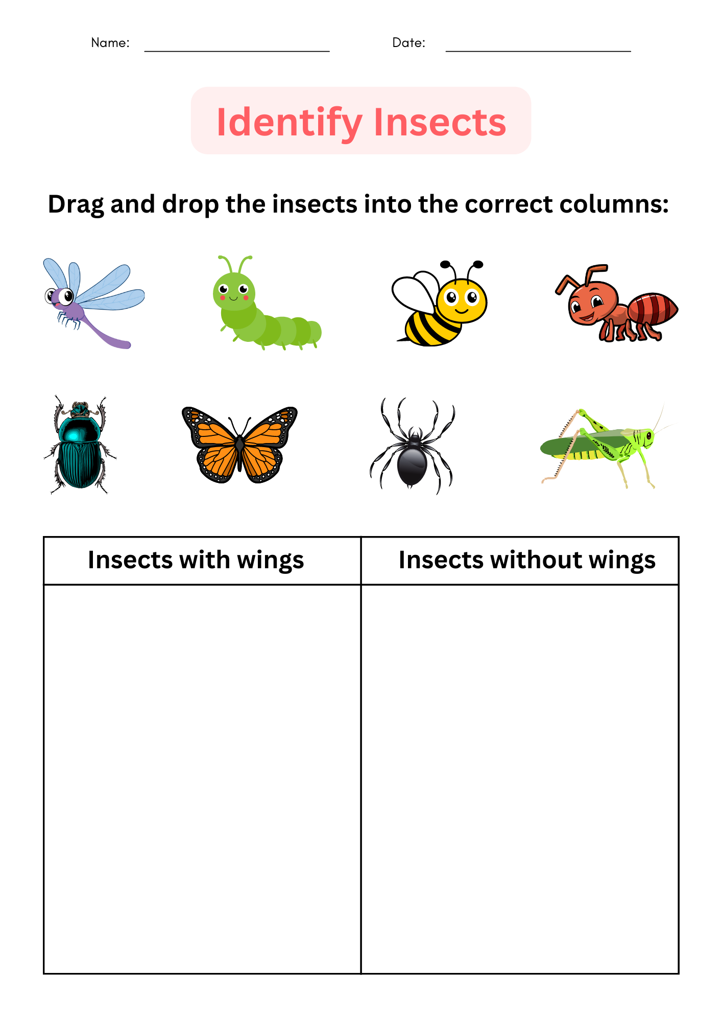 Printable Insects Worksheet For Kindergarten Identify And Printable Insects Worksheet For Kindergarten Identify And