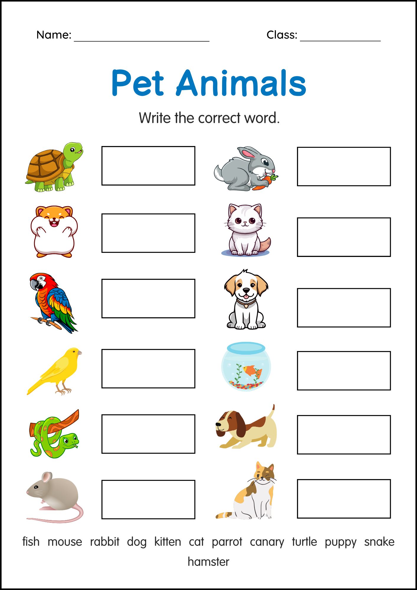 Printable Pets Animals Activity Worksheets For Grade 1 2 3 