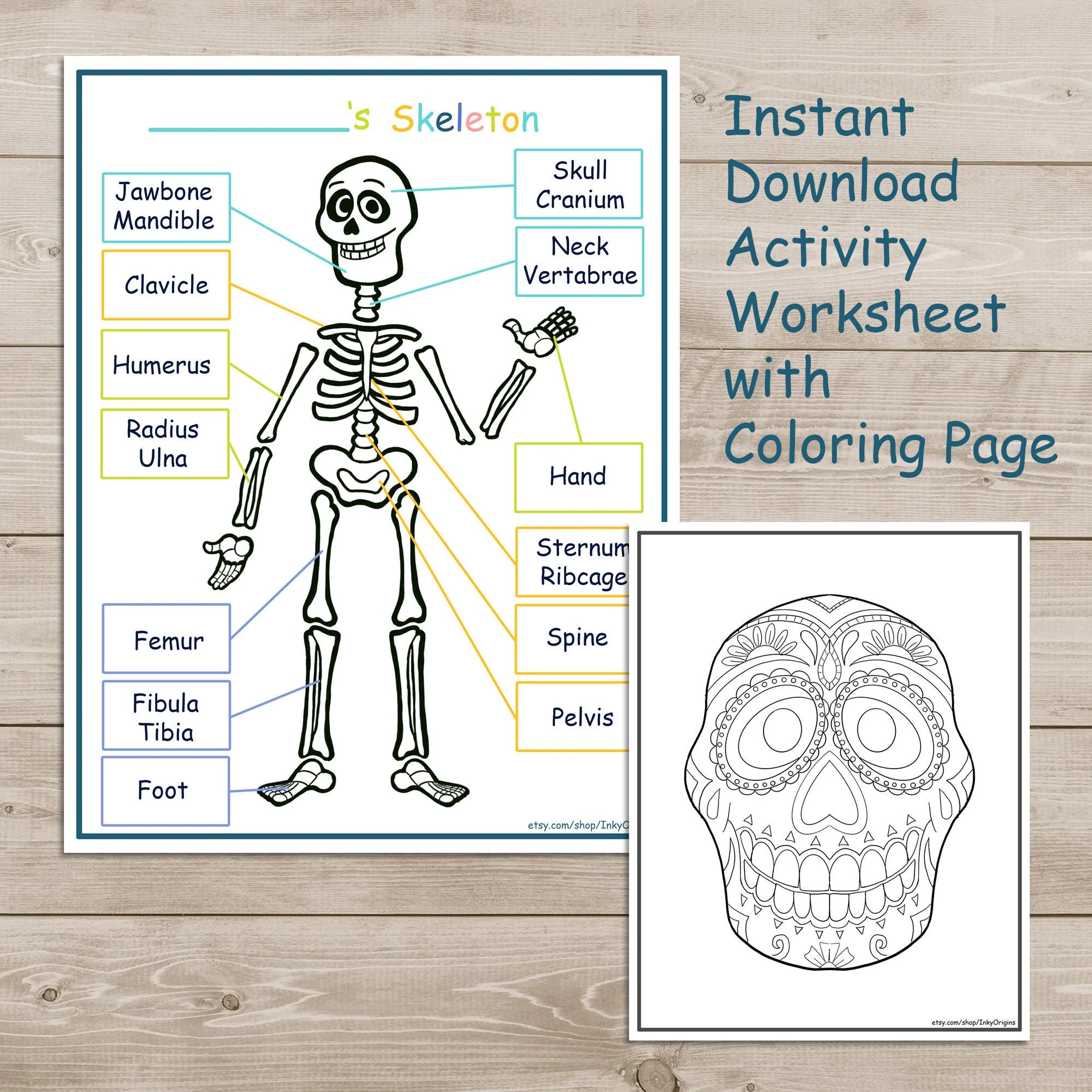 Printable Skeleton Activity Pack Coloring Page Kids Learning Printable Skeleton Activity Pack Coloring Page Kids Learning