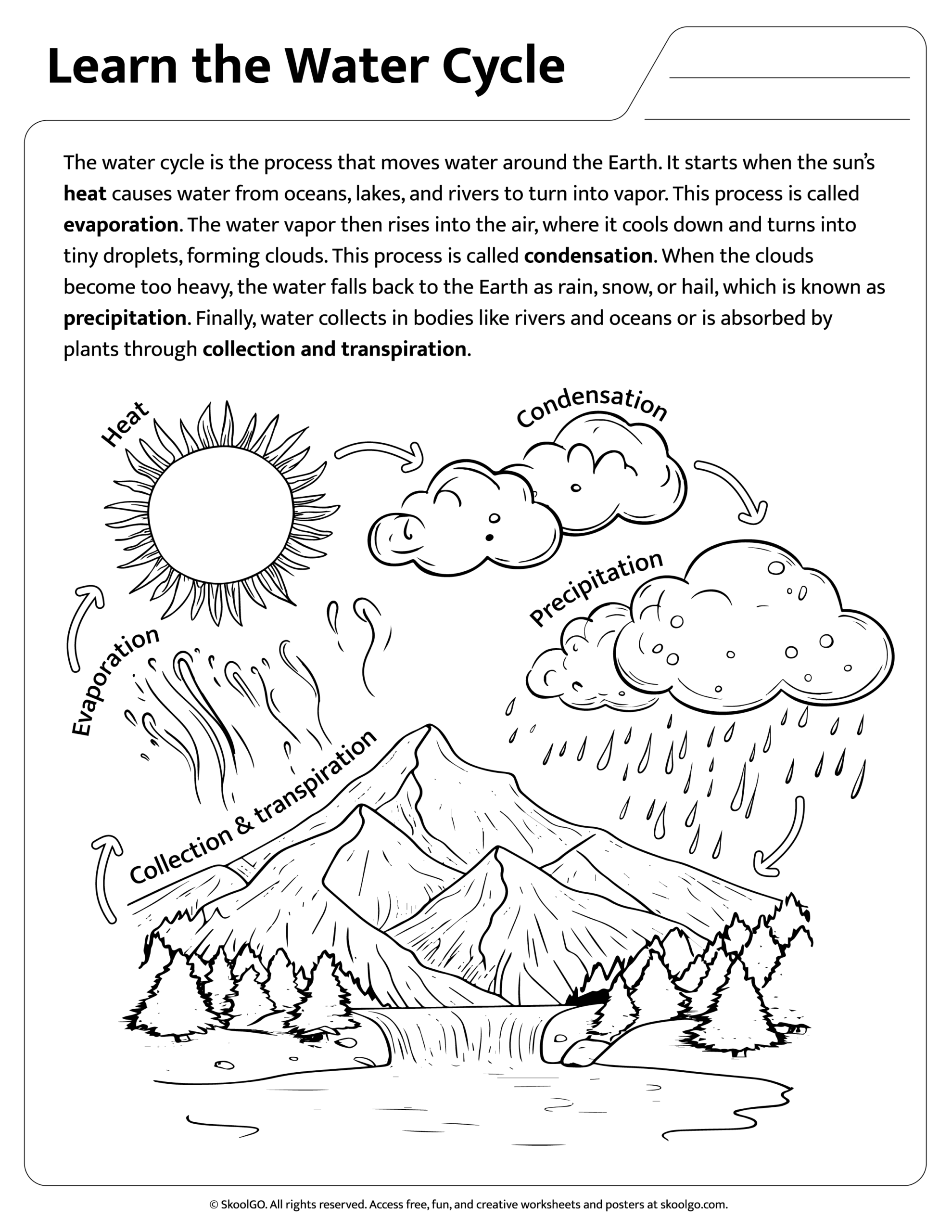 Printable Water Cycle Worksheet For Kids SKOOLGO Printable Water Cycle Worksheet For Kids SKOOLGO