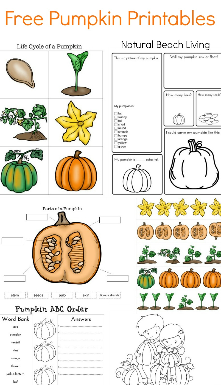 Free Printable Pumpkin Worksheets For Kindergarten Free Printable Pumpkin Worksheets For Kindergarten