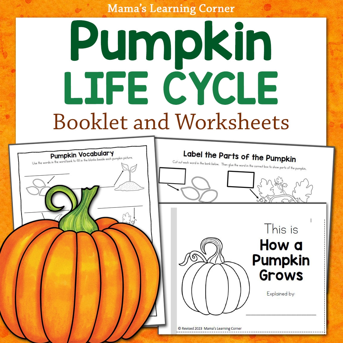 Pumpkin Life Cycle Worksheets And Booklet Mamas Learning Corner Pumpkin Life Cycle Worksheets And Booklet Mamas Learning Corner
