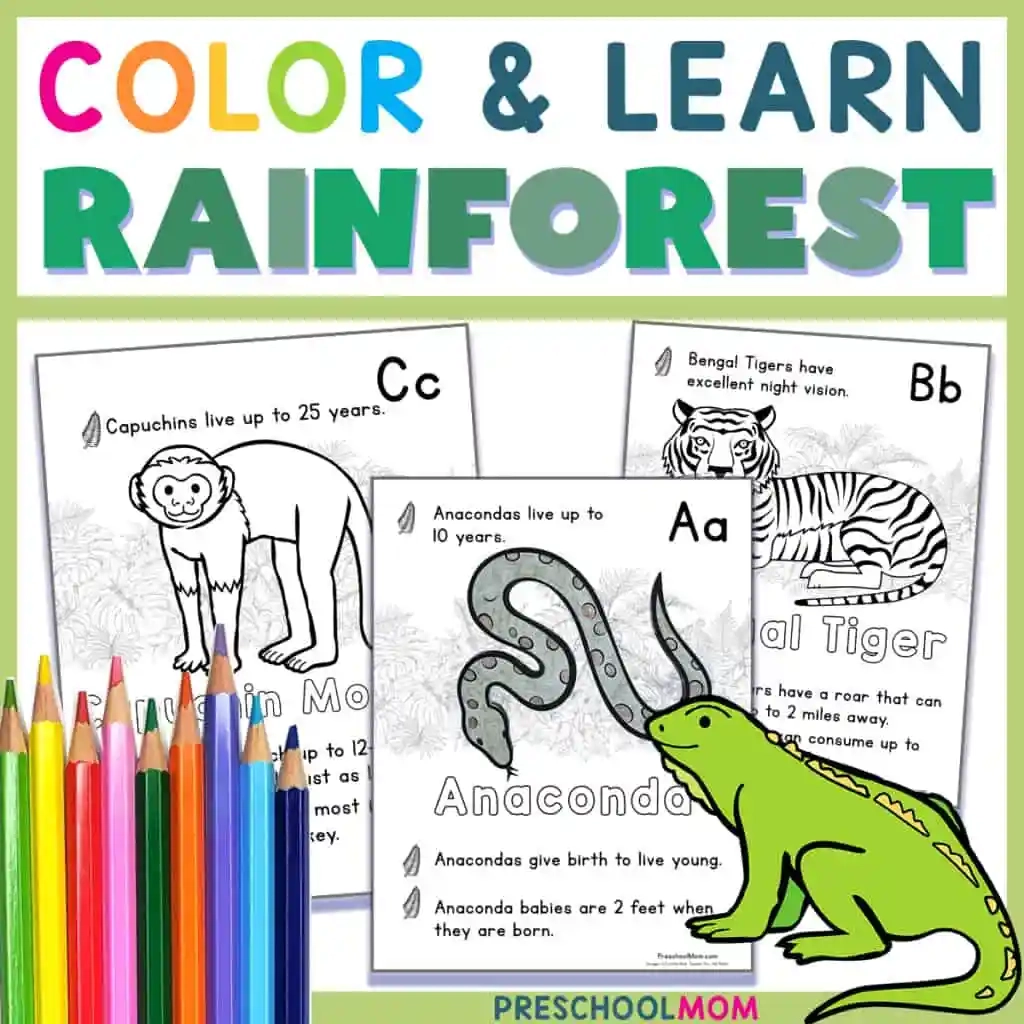 Rainforest Coloring Pages Preschool Mom Rainforest Coloring Pages Preschool Mom